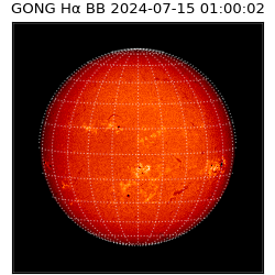 gong - 2024-07-15T01:00:02