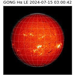 gong - 2024-07-15T03:00:42
