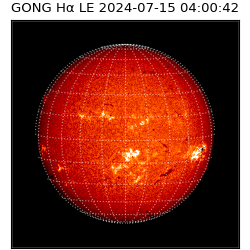 gong - 2024-07-15T04:00:42