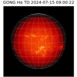 gong - 2024-07-15T09:00:22