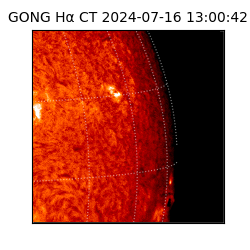 gong - 2024-07-16T13:00:42