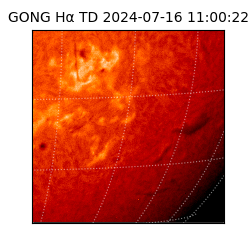 gong - 2024-07-16T11:00:22