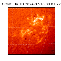 gong - 2024-07-16T09:07:22