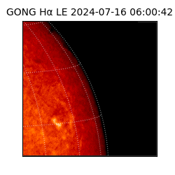 gong - 2024-07-16T06:00:42