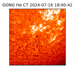 gong - 2024-07-16T18:00:42