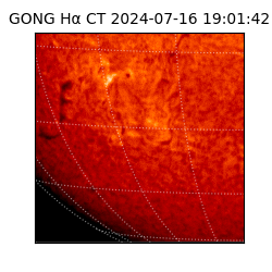 gong - 2024-07-16T19:01:42