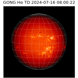 gong - 2024-07-16T08:00:22