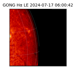 gong - 2024-07-17T06:00:42