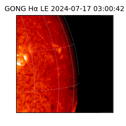 gong - 2024-07-17T03:00:42