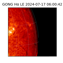 gong - 2024-07-17T06:00:42