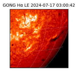 gong - 2024-07-17T03:00:42