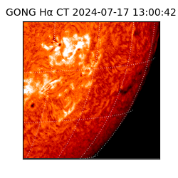 gong - 2024-07-17T13:00:42