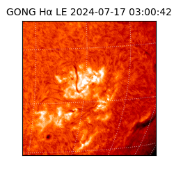 gong - 2024-07-17T03:00:42