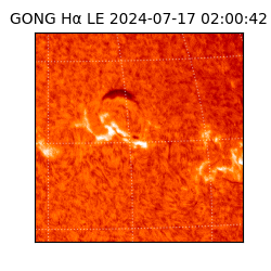 gong - 2024-07-17T02:00:42