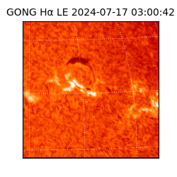 gong - 2024-07-17T03:00:42