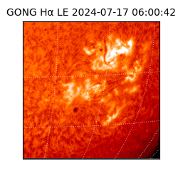 gong - 2024-07-17T06:00:42