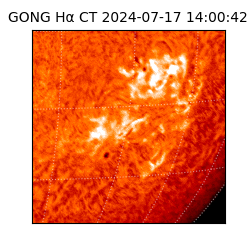 gong - 2024-07-17T14:00:42