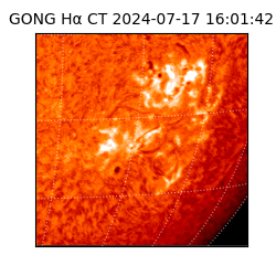 gong - 2024-07-17T16:01:42