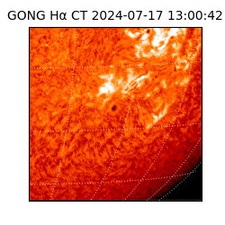 gong - 2024-07-17T13:00:42