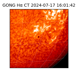 gong - 2024-07-17T16:01:42