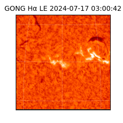 gong - 2024-07-17T03:00:42