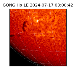 gong - 2024-07-17T03:00:42