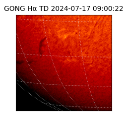 gong - 2024-07-17T09:00:22