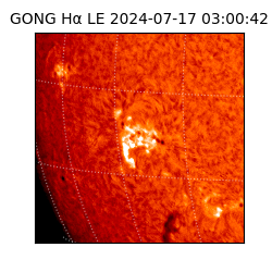 gong - 2024-07-17T03:00:42