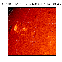 gong - 2024-07-17T14:00:42