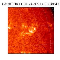 gong - 2024-07-17T03:00:42