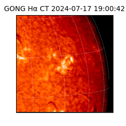 gong - 2024-07-17T19:00:42