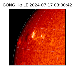 gong - 2024-07-17T03:00:42