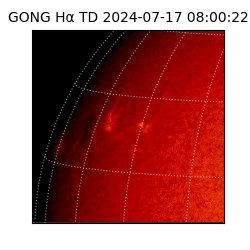 gong - 2024-07-17T08:00:22