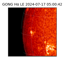 gong - 2024-07-17T05:00:42