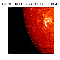 gong - 2024-07-17T03:00:42