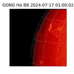 gong - 2024-07-17T01:00:02