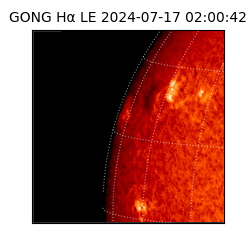 gong - 2024-07-17T02:00:42