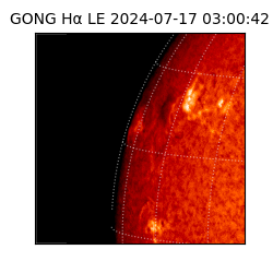 gong - 2024-07-17T03:00:42