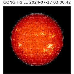 gong - 2024-07-17T03:00:42