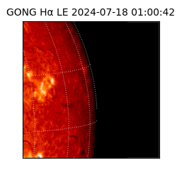 gong - 2024-07-18T01:00:42