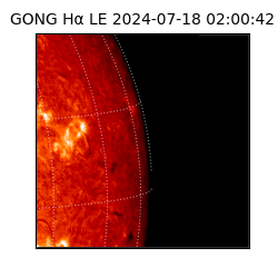 gong - 2024-07-18T02:00:42