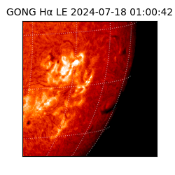 gong - 2024-07-18T01:00:42