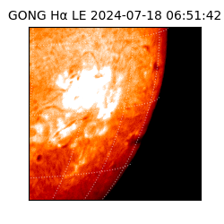 gong - 2024-07-18T06:51:42