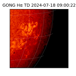 gong - 2024-07-18T09:00:22