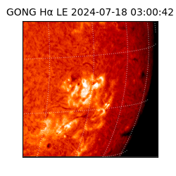 gong - 2024-07-18T03:00:42