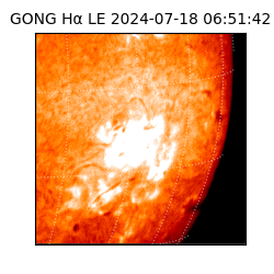 gong - 2024-07-18T06:51:42