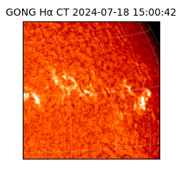 gong - 2024-07-18T15:00:42