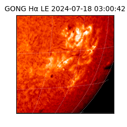 gong - 2024-07-18T03:00:42