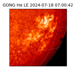 gong - 2024-07-18T07:00:42