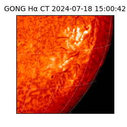 gong - 2024-07-18T15:00:42